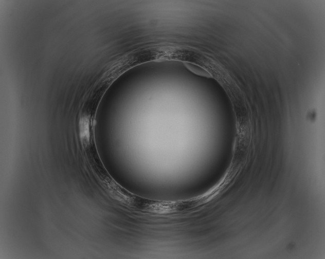 X0000097760094200803071304