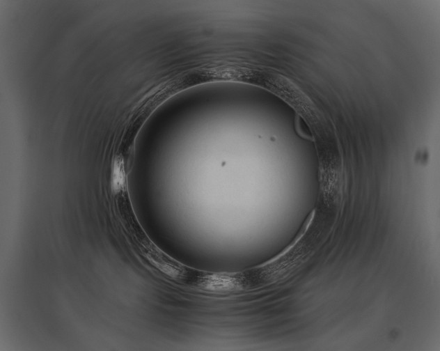 X0000097760095200803071304