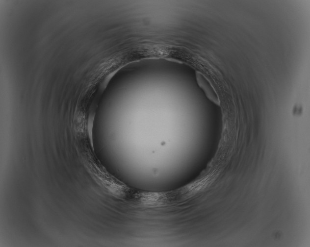 X0000097760096200803071304