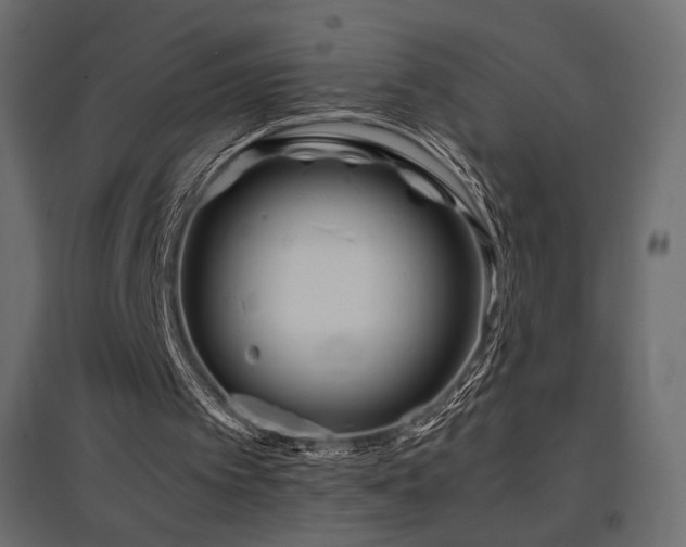 X0000097760097200803071304