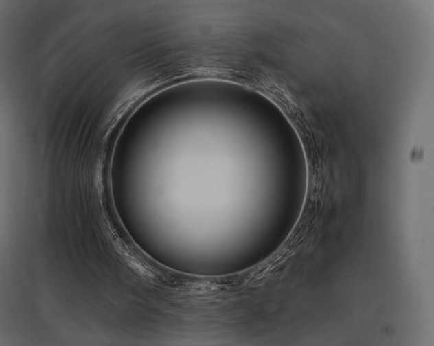 X0000097760098200803071304