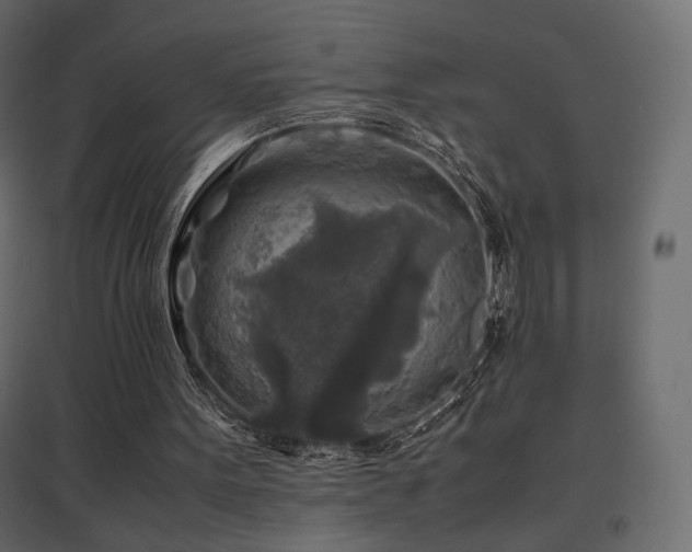 X0000097760099200803071304