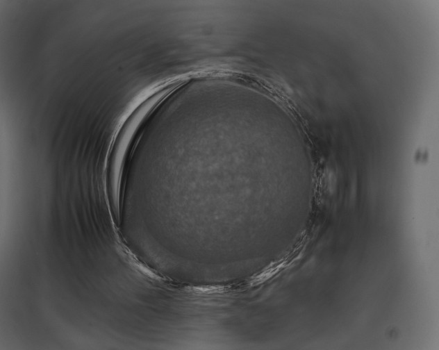 X0000097760100200803071304