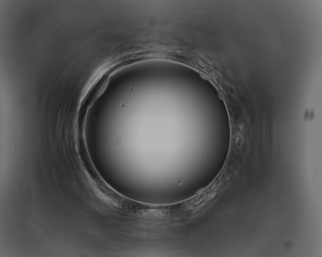 X0000097760102200803071304