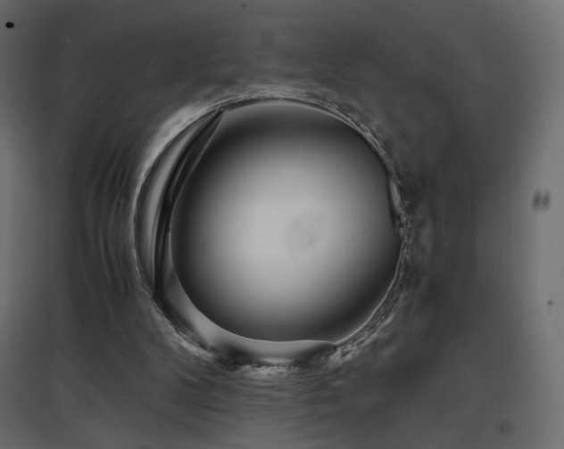 X0000097760104200803071304