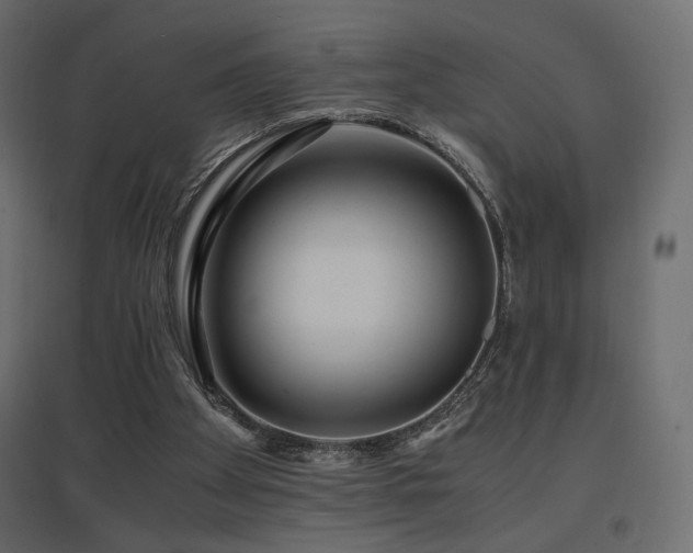 X0000097760105200803071304