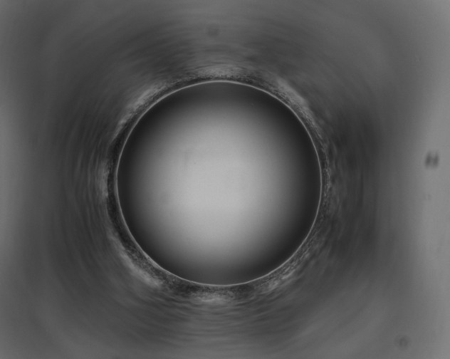 X0000097760106200803071304