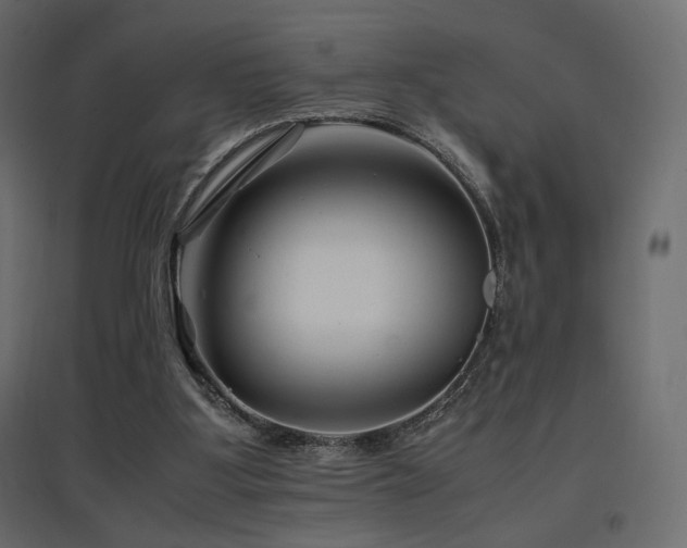 X0000097760107200803071304