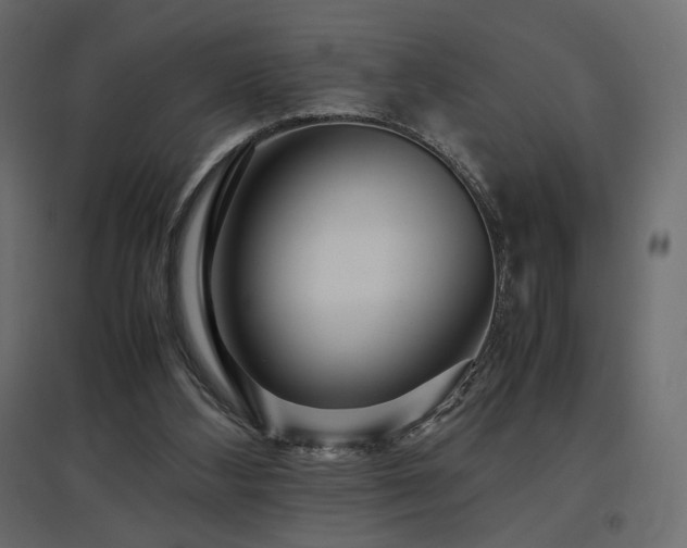 X0000097760108200803071304