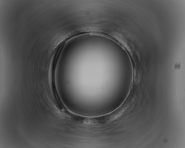 X0000097760109200803071304