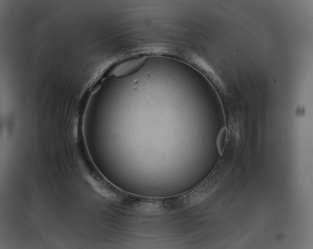 X0000097760110200803071304