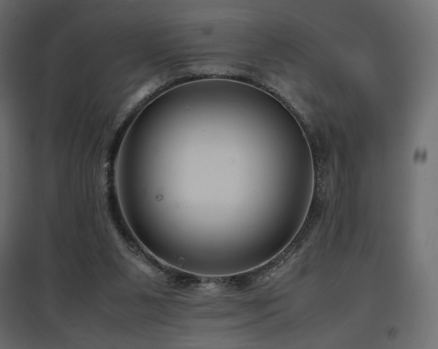 X0000097760111200803071304