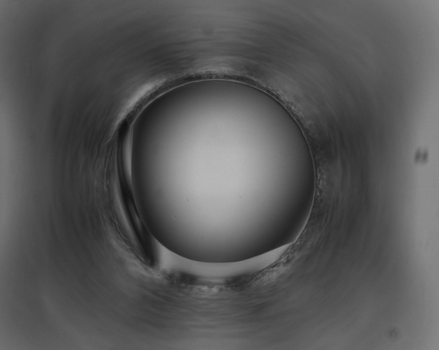 X0000097760112200803071304