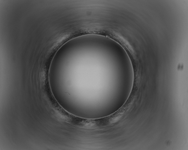 X0000097760113200803071304