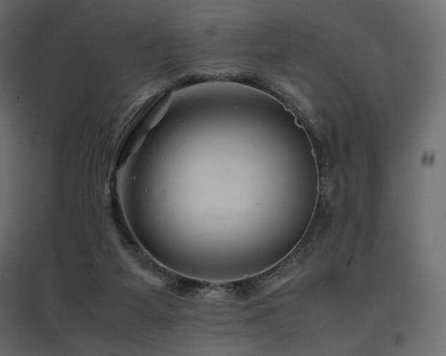 X0000097760115200803071303