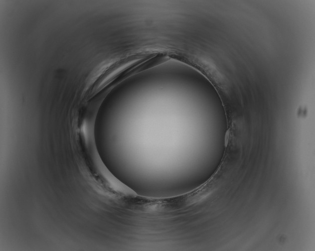 X0000097760116200803071303