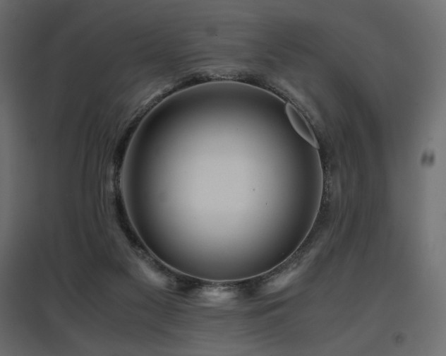 X0000097760117200803071303