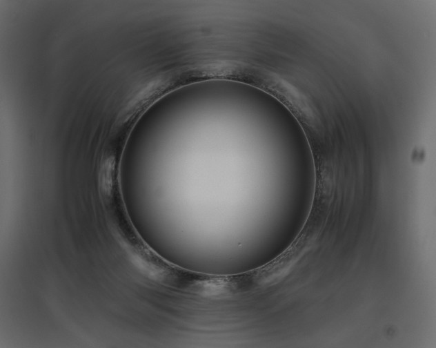 X0000097760118200803071303