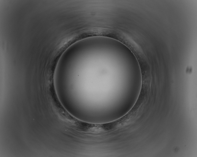 X0000097760119200803071303