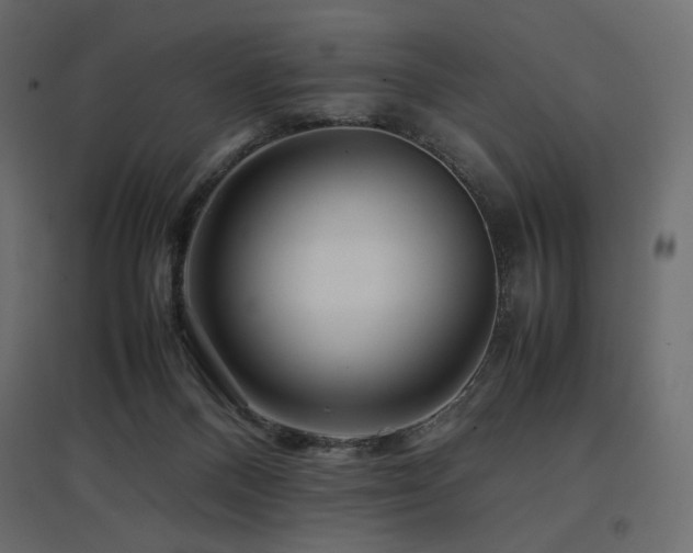 X0000097760120200803071303