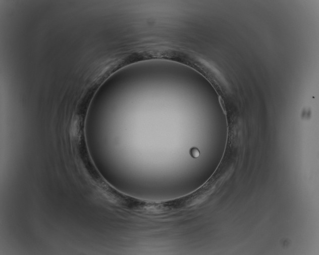 X0000097760121200803071303