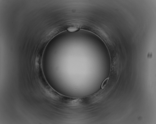 X0000097760122200803071303