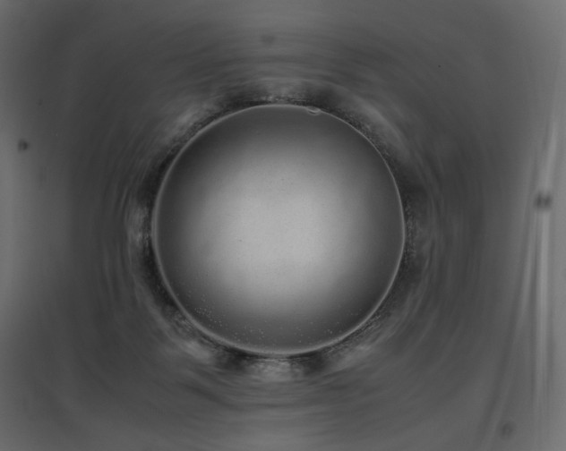 X0000097760123200803071303