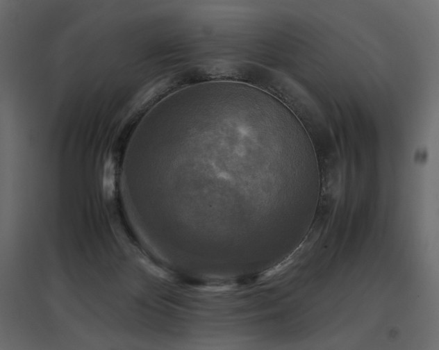 X0000097760124200803071303