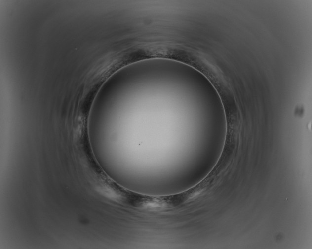 X0000097760125200803071303