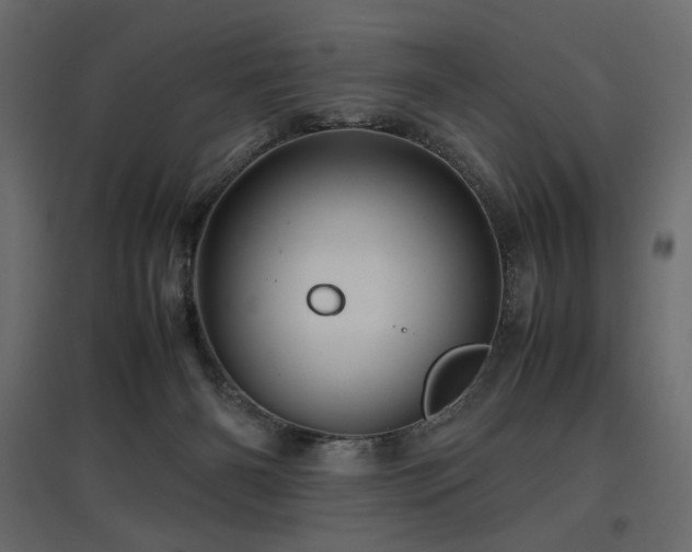 X0000097760126200803071303