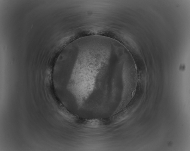 X0000097760127200803071303