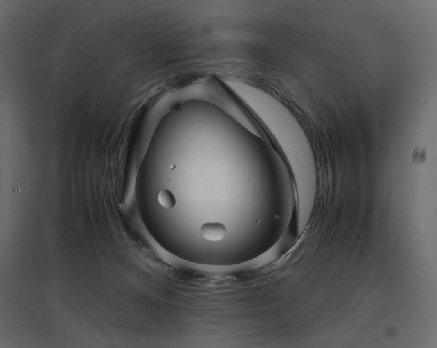 X0000097760128200803071303