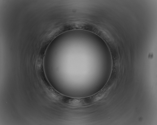 X0000097760129200803071303