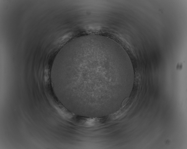 X0000097760130200803071303