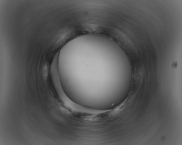 X0000097760132200803071303