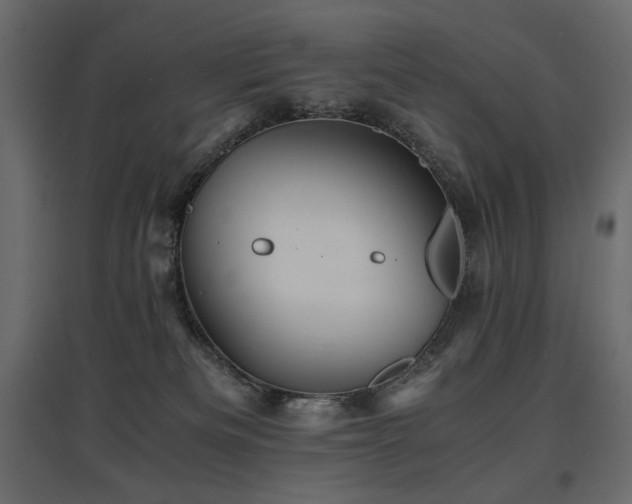 X0000097760133200803071303