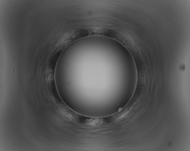 X0000097760135200803071303