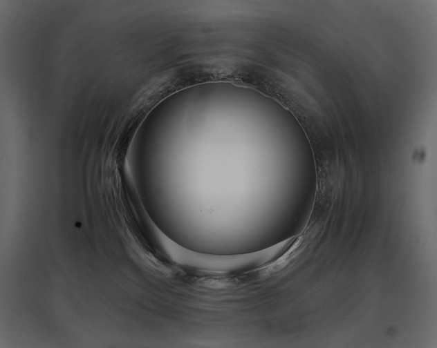 X0000097760136200803071303