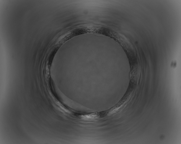 X0000097760137200803071303