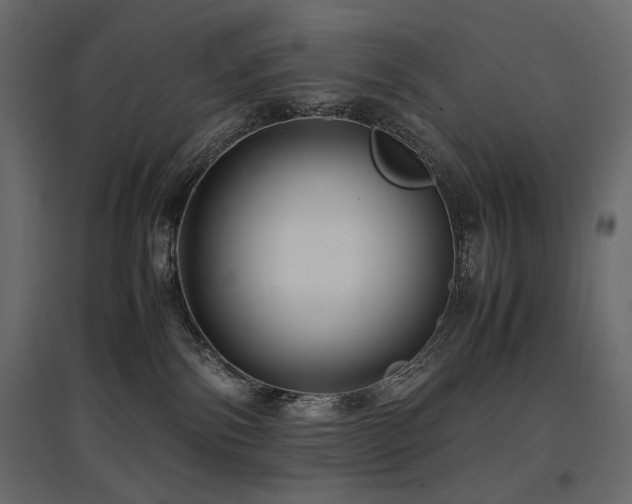 X0000097760138200803071303