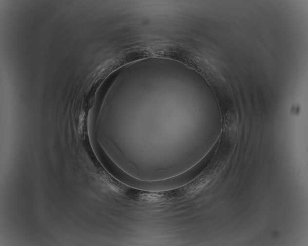 X0000097760139200803071303