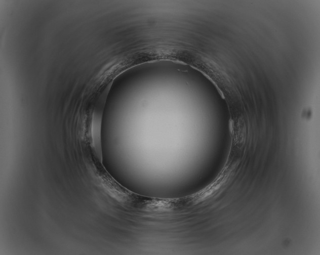 X0000097760140200803071303