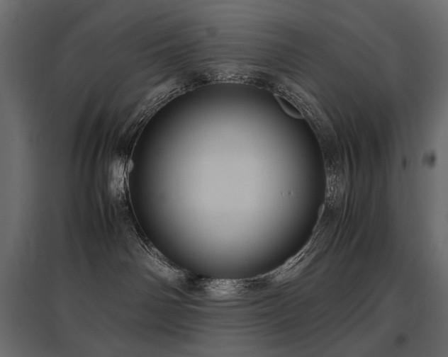 X0000097760142200803071303