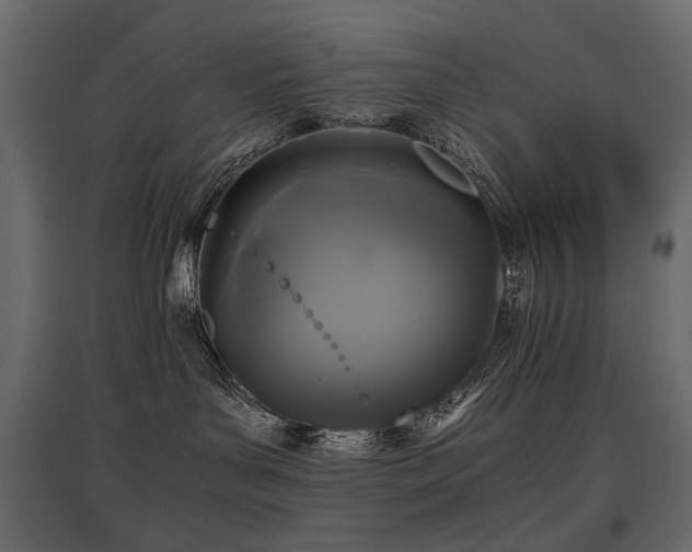 X0000097760143200803071303