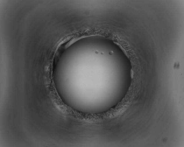 X0000097760144200803071303