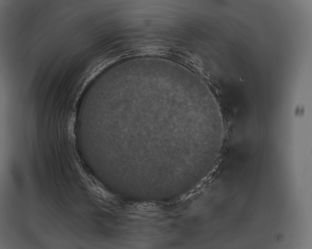 X0000097760146200803071302