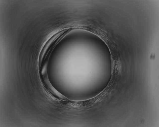 X0000097760148200803071302