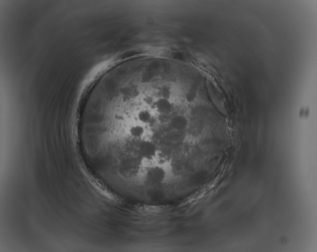 X0000097760149200803071302