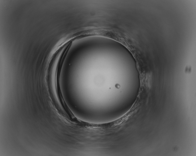 X0000097760150200803071302