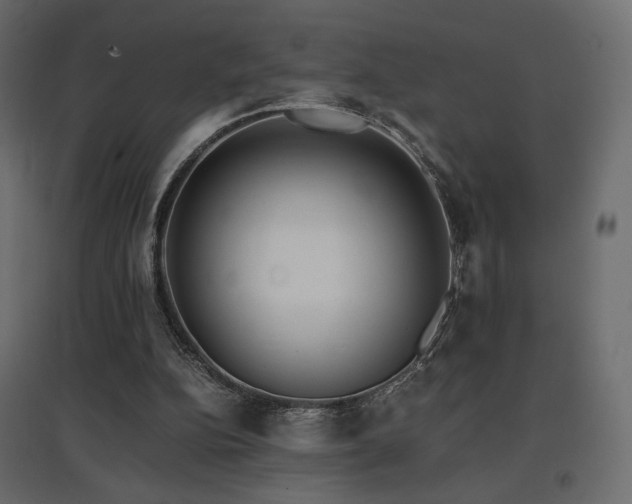 X0000097760152200803071303